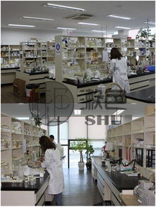 国产护肤品品牌 漱色 与韩国达成合作引发业内关注